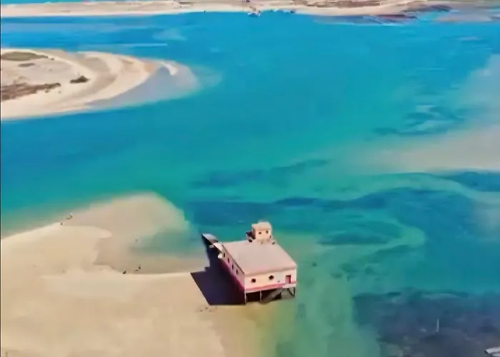 Zizas House T2 Magnifico Appartement *